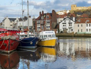 New council offers a once-in-a-lifetime opportunity