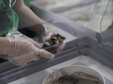 New Cuero ice cream business sees rapid growth, talks Victoria expansion