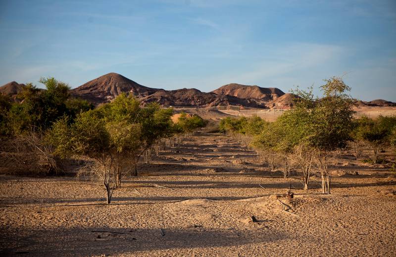 The 'Year of Sustainability’ is an opportunity to reconnect with nature