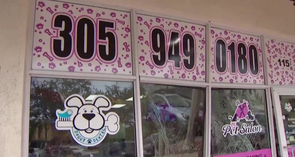 Driver crashes into pet grooming business in North Miami, flees