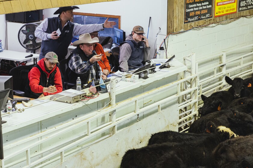 'A ton of opportunity,' says Kansas native who found second home in Mitchell after buying Mitchell Livestock