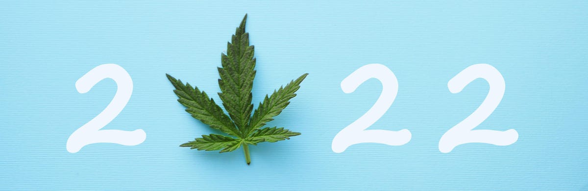 2022 Cannabis In Review And 2023 Opportunity Outlook