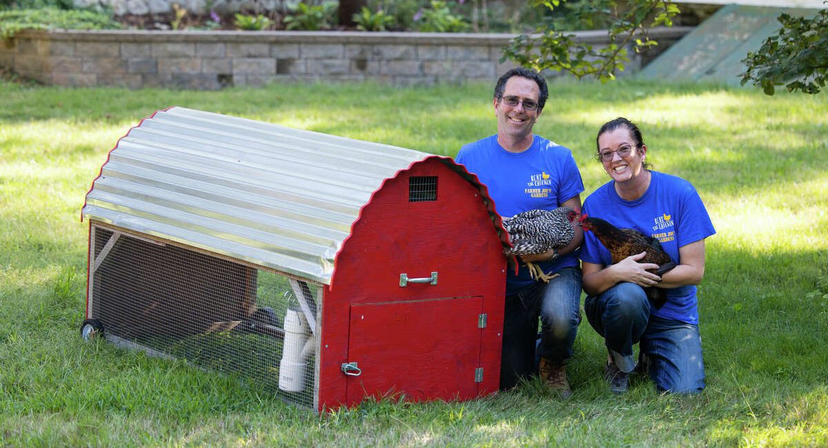 Escalating egg prices prompt more Connecticut residents to rent hens