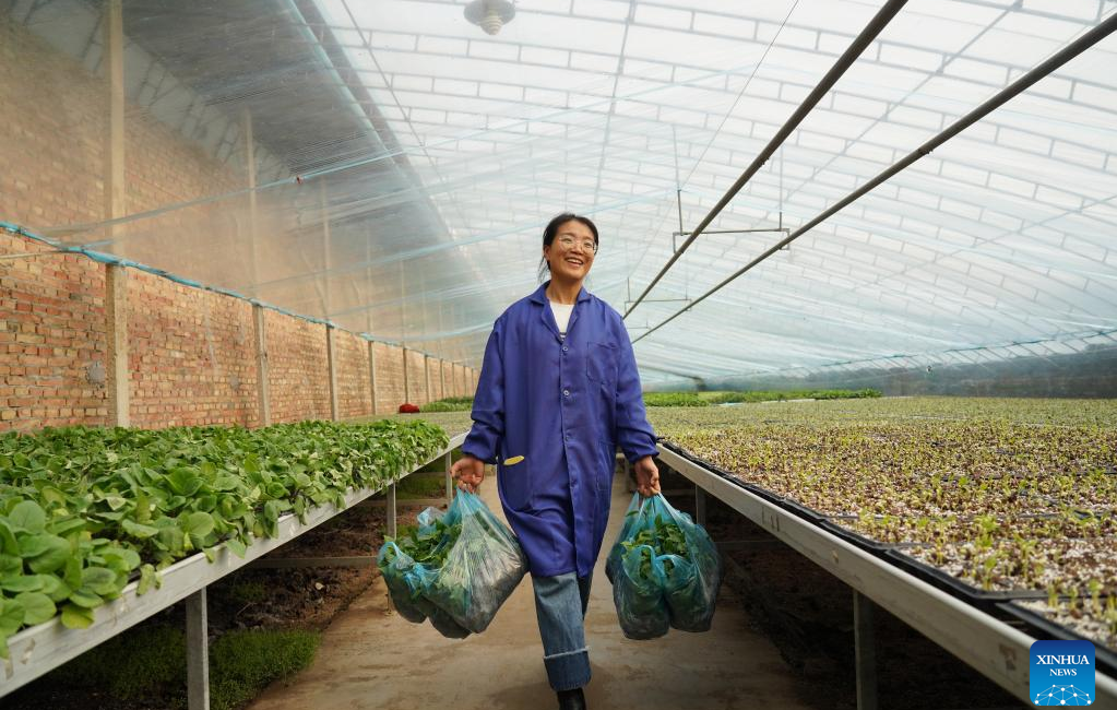 Pic story: female agricultural entrepreneur devoted to vegetables business