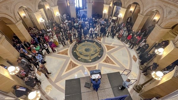 Black business owners make their voices heard at Capitol