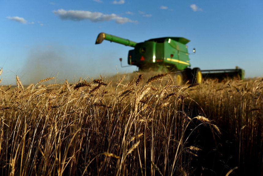 High Food Prices, Chinese Demand Boost Prospects of U.S. Agriculture Companies