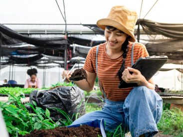 UNSSC and UN Environment co-design learning modules for sustainable lifestyles and digital transformation