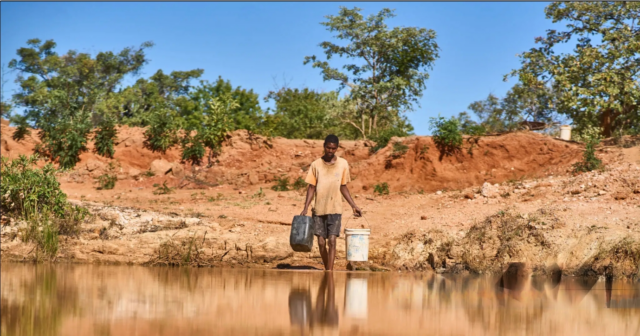 RiceMoRe launch: Pioneering digital transformation in Vietnam’s agriculture sector